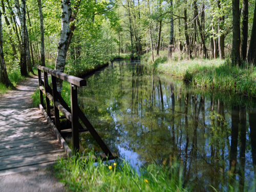 Gurkenradweg - Spreewald - in Richtung Leipe Gurkenradweg - Spreewald - in Richtung Leipe