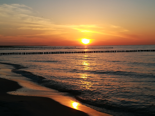 Sonneuntergang - auf dem Darß - bei Zingst Sonneuntergang - auf dem Darß - bei Zingst