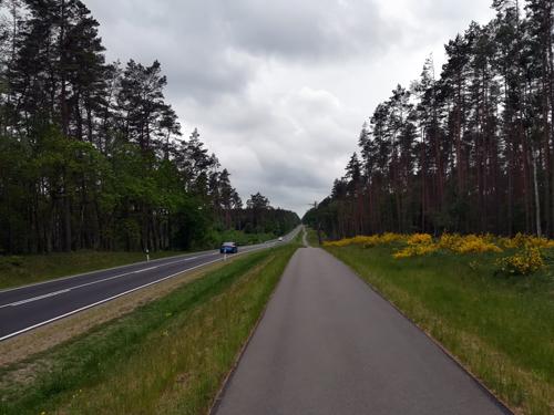 Insel Usedom Fahrradweg parallel zur B 110 Insel Usedom Fahrradweg parallel zur B 110