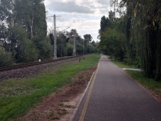 balatonradweg_111
