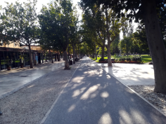 balatonradweg_115