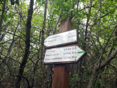 balatonradweg_123