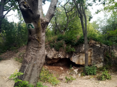 balatonradweg_124