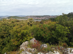 balatonradweg_126