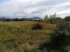 balatonradweg_32