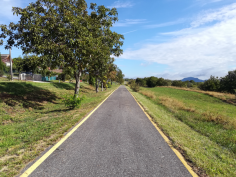 balatonradweg_33