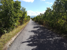 balatonradweg_53