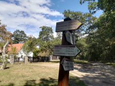 balatonradweg_68