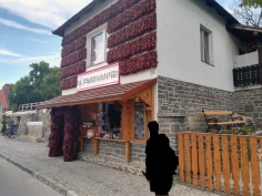balatonradweg_82