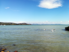 balatonradweg_89