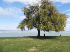 balatonradweg_96