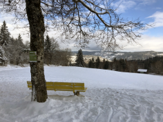 höchenschwand_110