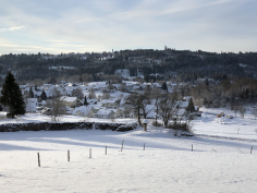 höchenschwand_113