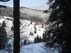 höchenschwand_114