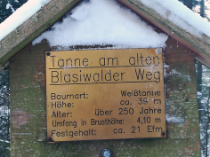 höchenschwand_115
