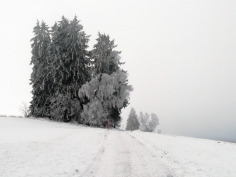 höchenschwand_127