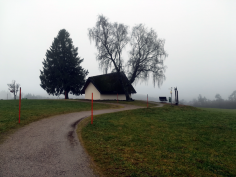 höchenschwand_13