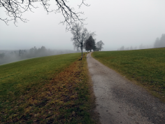 höchenschwand_14