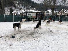 höchenschwand_141