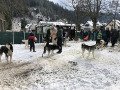 höchenschwand_142