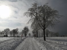 höchenschwand_146