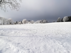 höchenschwand_147