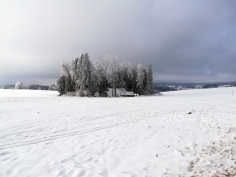höchenschwand_148