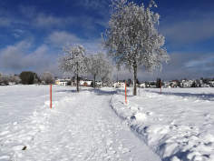 höchenschwand_154