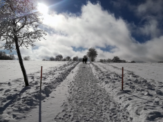 höchenschwand_155