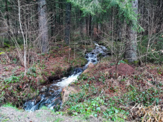 höchenschwand_19