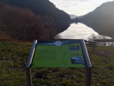 höchenschwand_37
