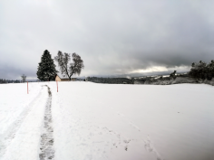 höchenschwand_39