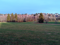 höchenschwand_60
