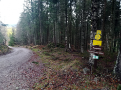 höchenschwand_63