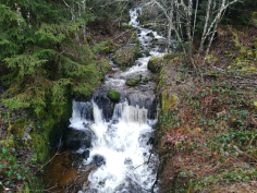 höchenschwand_66