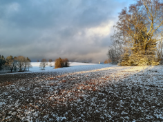 höchenschwand_90