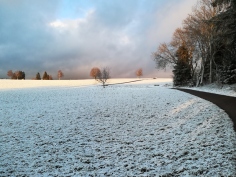 höchenschwand_92