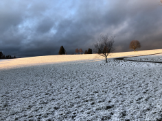 höchenschwand_95