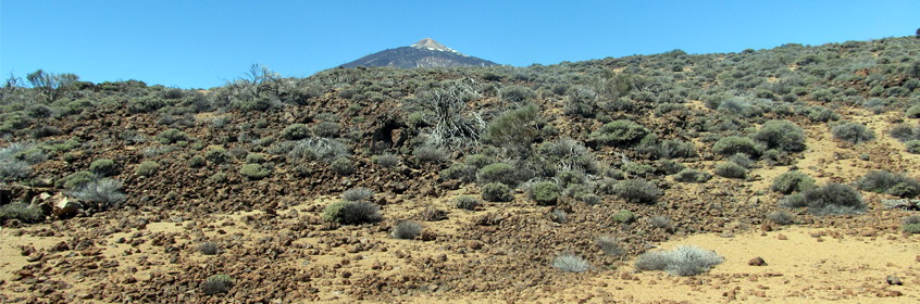 Teneriffa - Kanarischen Inseln
