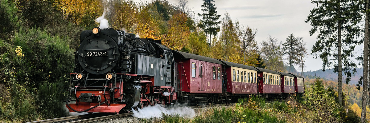 Harz - Wanderungen - Juli 2020