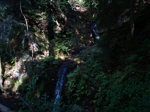 Hochschwarzwald - Die Schlucht des Rüttebachs Hochschwarzwald - Die Schlucht des Rüttebachs