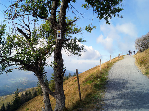 Schwarzwald - Reisebericht - Belchen (1414,2 m ) Schwarzwald - Reisebericht - Belchen (1414,2 m )