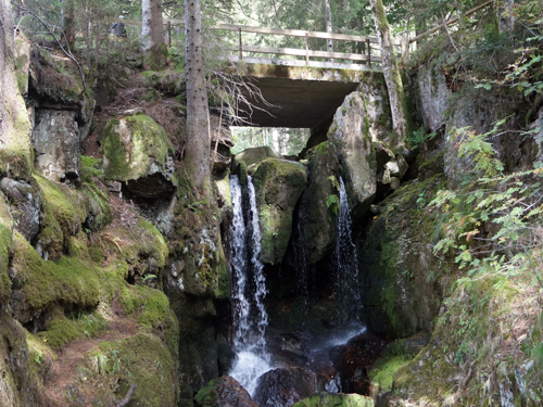 Schwarzwald - Reisebericht - Menzenschwander Geißenpfad Schwarzwald - Reisebericht - Menzenschwander Geißenpfad
