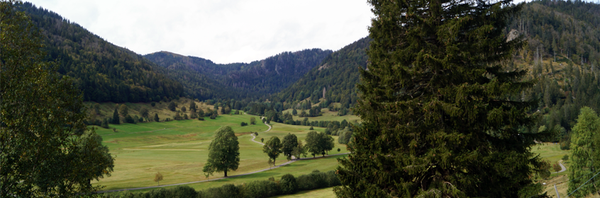 Schwarzwald - Belchen - Feldberg - Feldsee - Vogelschutzgebiet Wutach Schwarzwald - Belchen - Feldberg - Feldsee - Vogelschutzgebiet Wutach