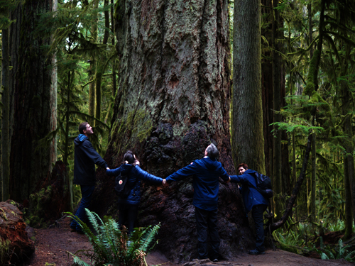 Vancouver Island - MacMillan Provincial Park Vancouver Island - MacMillan Provincial Park