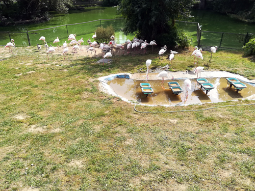 Der Zoologische Garten in Bratislava - 2022 Der Zoologische Garten in Bratislava - 2022