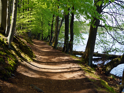 Rundwanderweg um den Liepnitzsee Mai 2021