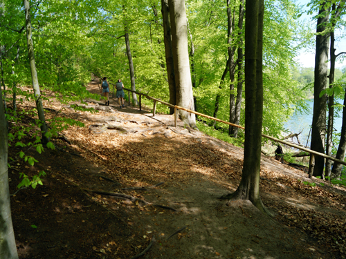 Rundwanderweg um den Liepnitzsee Mai 2021