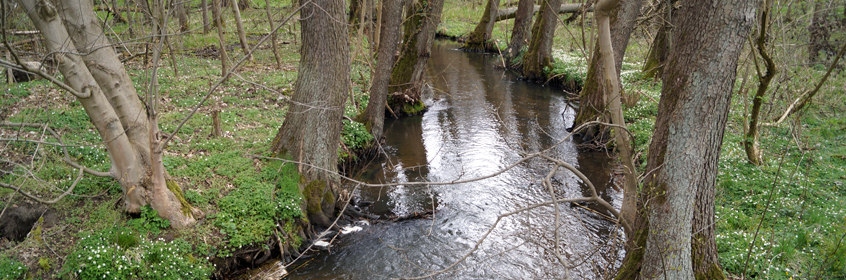 Wandern im Schlaubetal