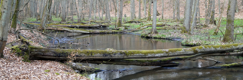 Wandern im Schlaubetal